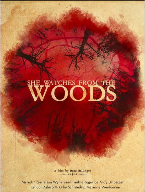Poster for She Watches from the Woods
