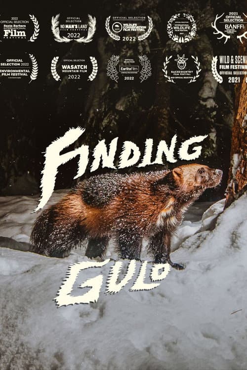 Poster for Finding Gulo