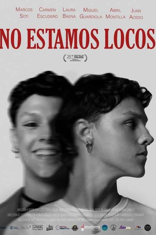 Poster for No estamos locos