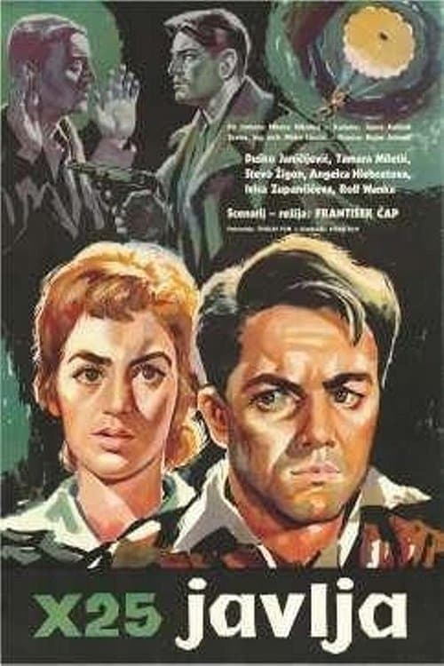 Poster for X-25 Reports