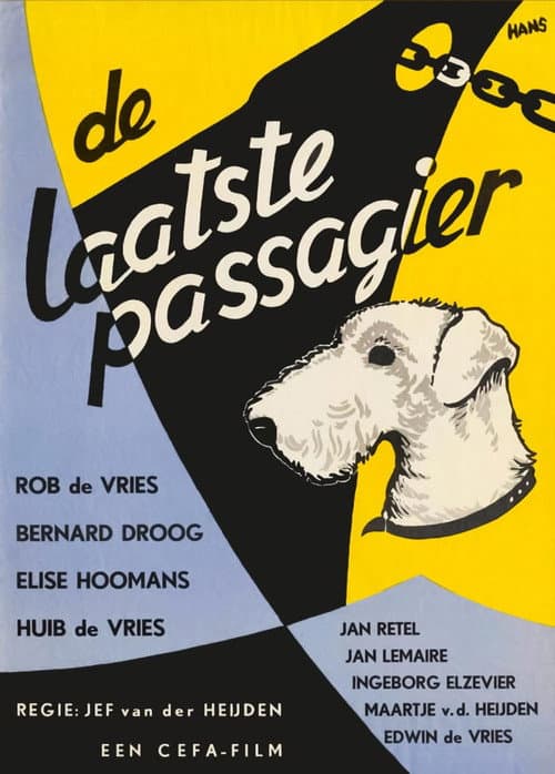 Poster for De laatste passagier