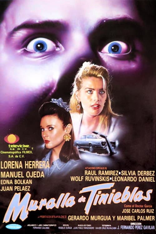 Poster for Wall of Darkness