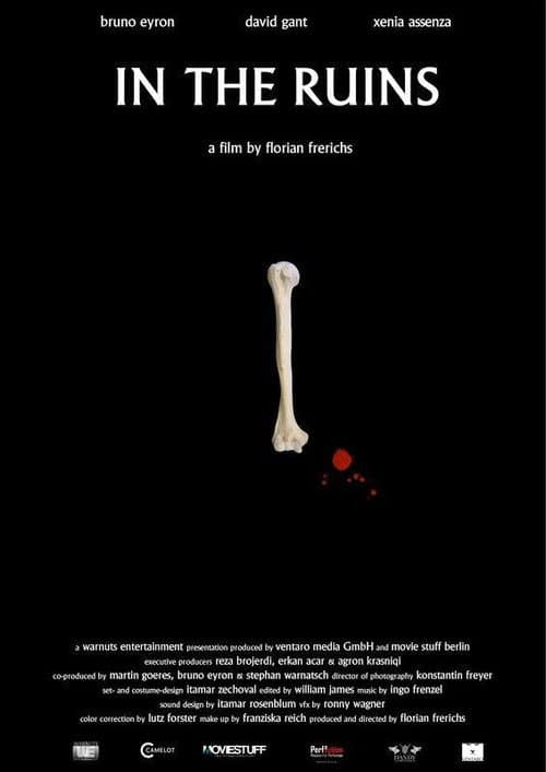 Poster for In the Ruins