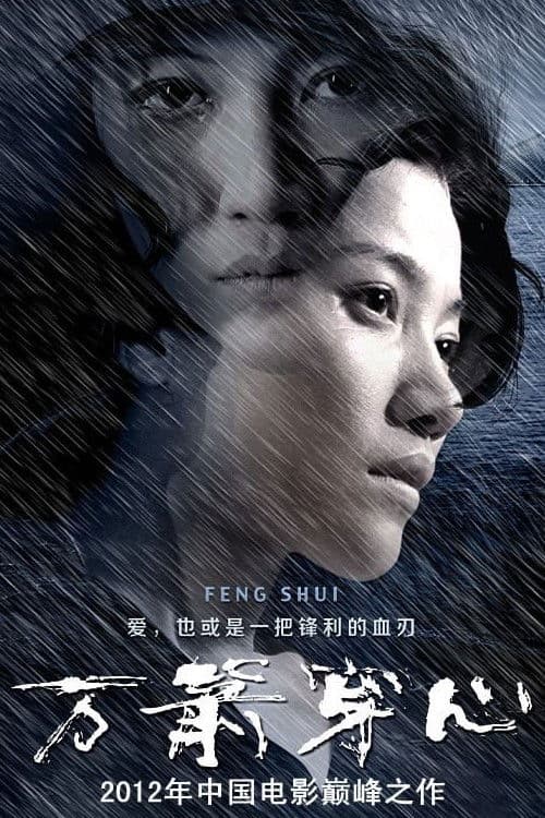 Poster for Feng Shui