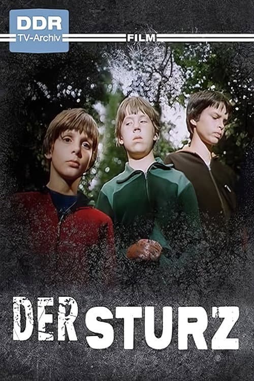 Poster for Der Sturz