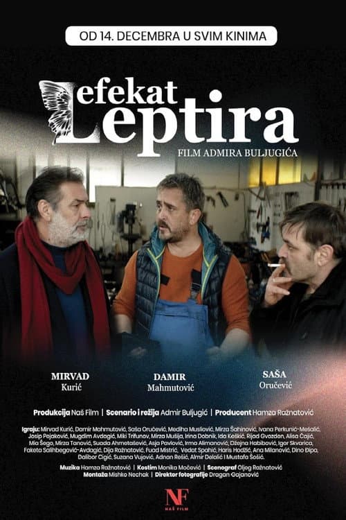 Poster for The Butterfly Effect