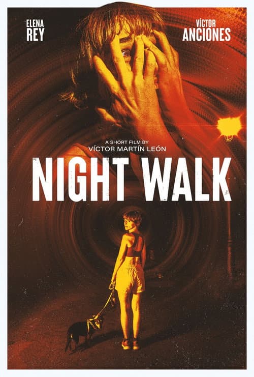 Poster for Night Walk