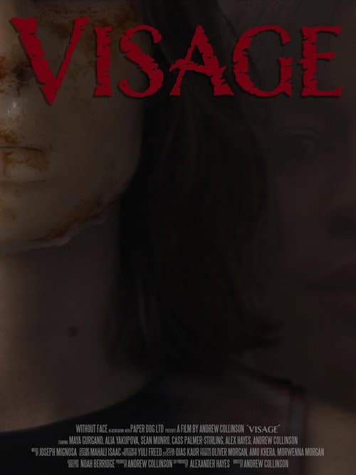 Poster for Visage
