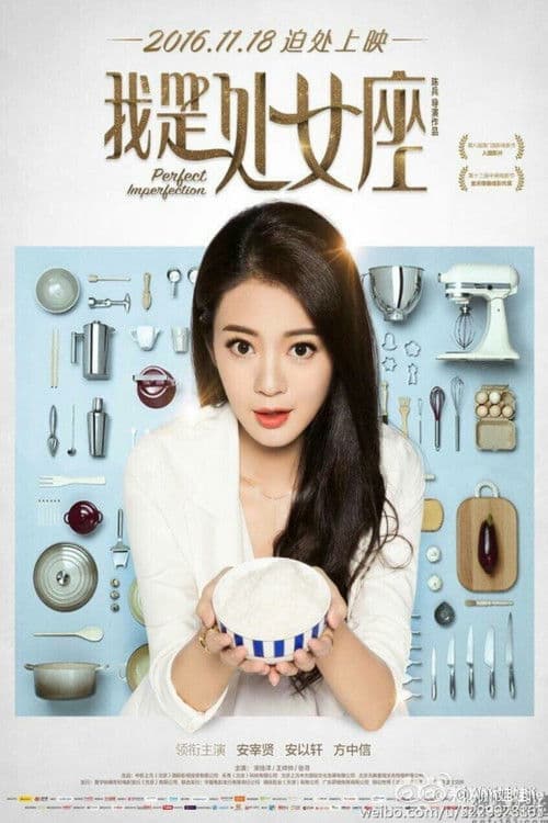 Poster for Perfect Imperfection
