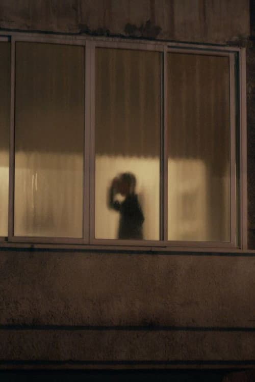 Poster for Shadow Puppets
