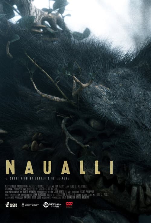 Poster for Naualli