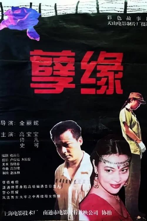 Poster for 孽缘
