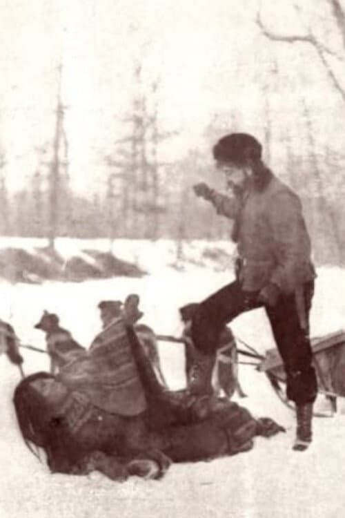 Poster for At the End of the Trail