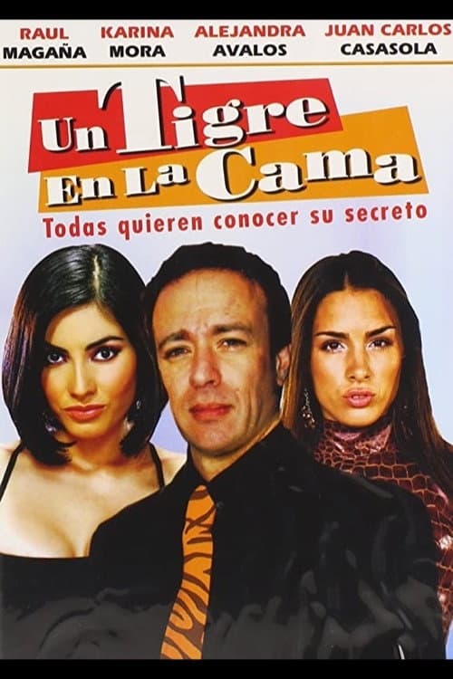 Постер до фільму «Un tigre en la cama»