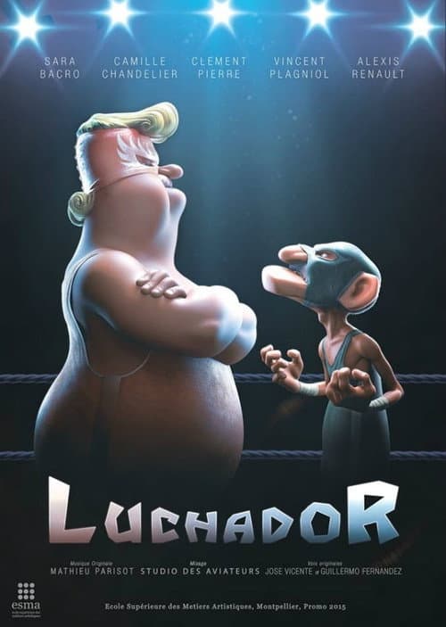 Poster for Fighter