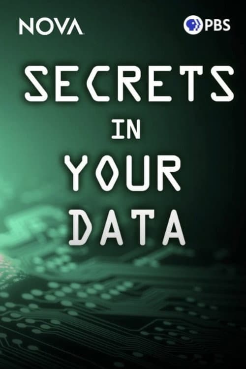 Poster for Secrets in Your Data