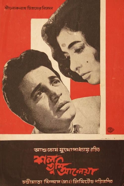 Poster for The Survivor