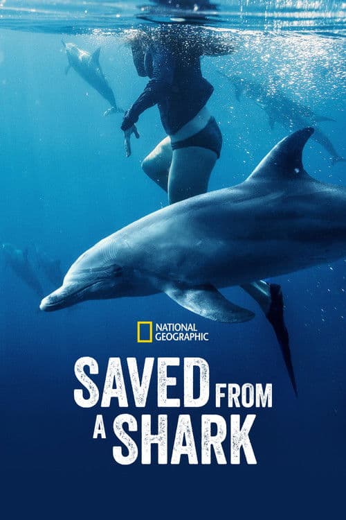 Poster for Saved from a Shark