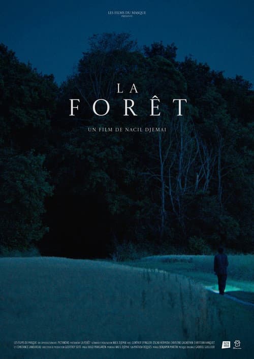 Poster for The Forest