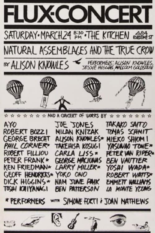 Poster for Flux-Concert