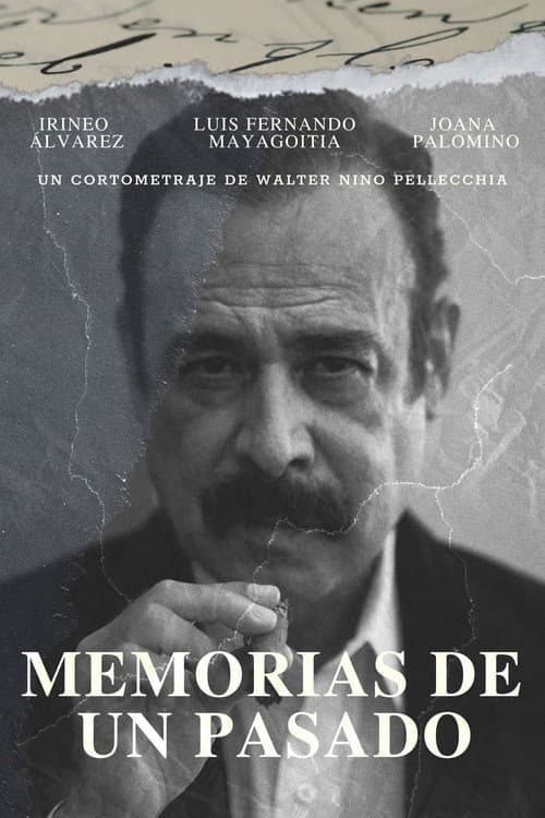 Постер до фільму «Memories of a Past»