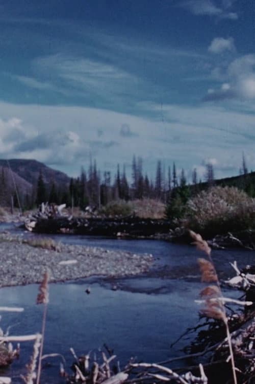 Poster for Concerto for Water, Sun and Wilderness
