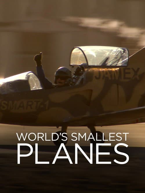 Poster for World's Smallest Planes