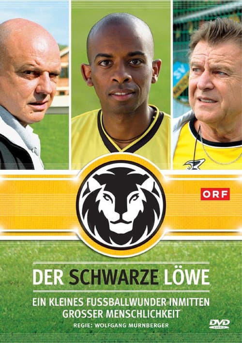 Poster for Der schwarze Löwe