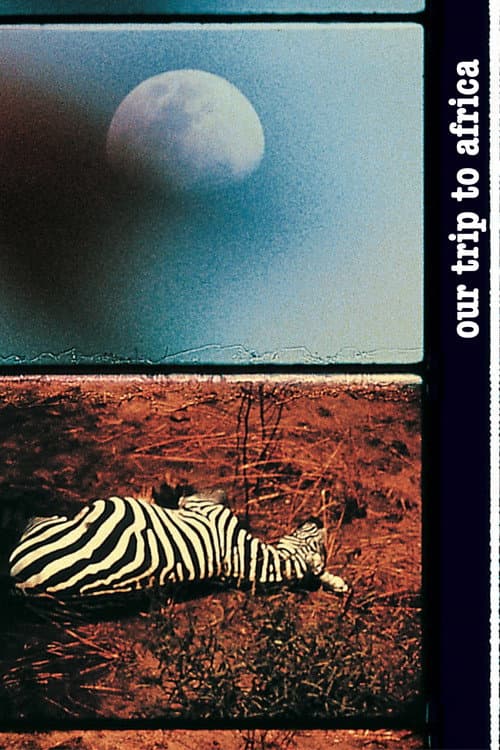 Poster for Our Trip to Africa