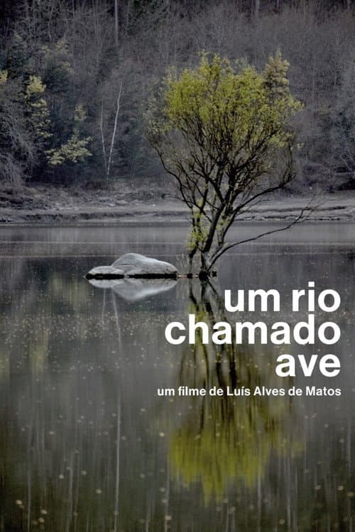 Poster for Um Rio Chamado Ave