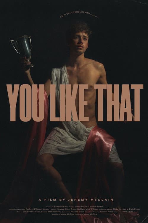 Poster for You Like That