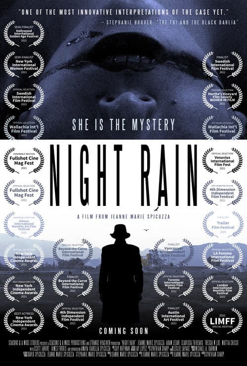 Poster for Night Rain
