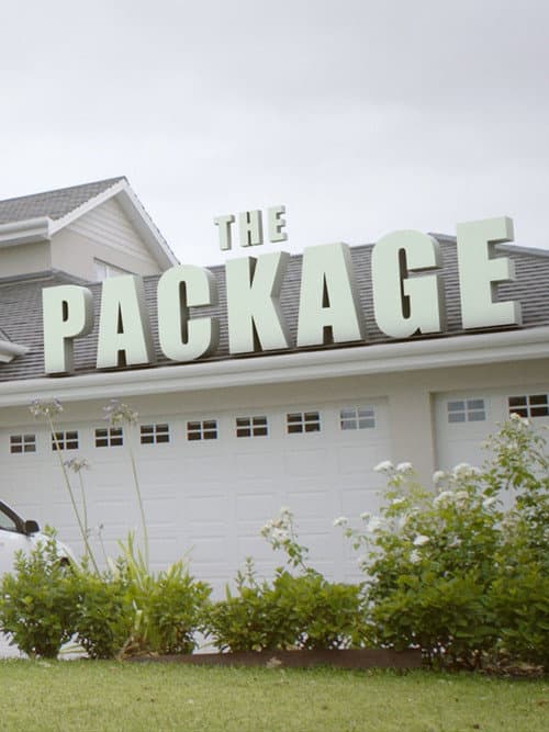Poster for The Package