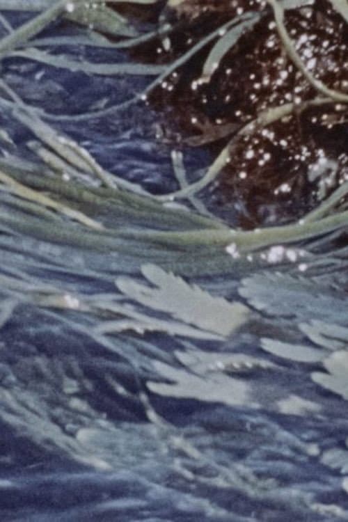 Poster for Waves