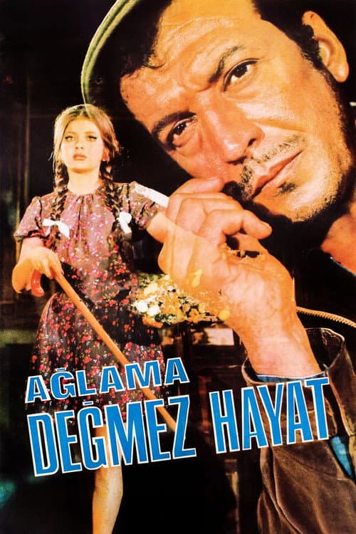 Poster for Ağlama Değmez Hayat