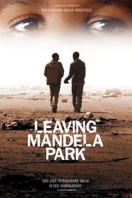 Poster for Leaving Mandela Park