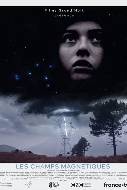 Poster for Magnetic Fields