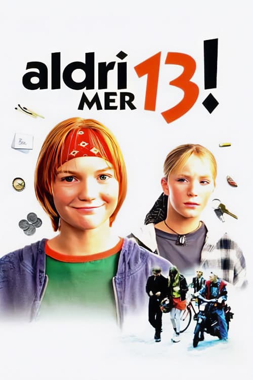 Poster for 13 Never Again!