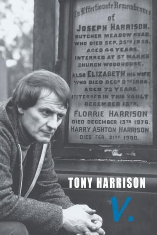Poster for V.