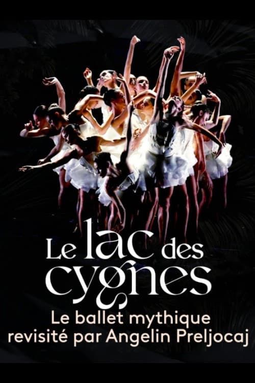 Poster for Le lac des cygnes au théâtre national de Chaillot
