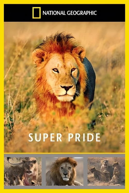 Poster for Superpride