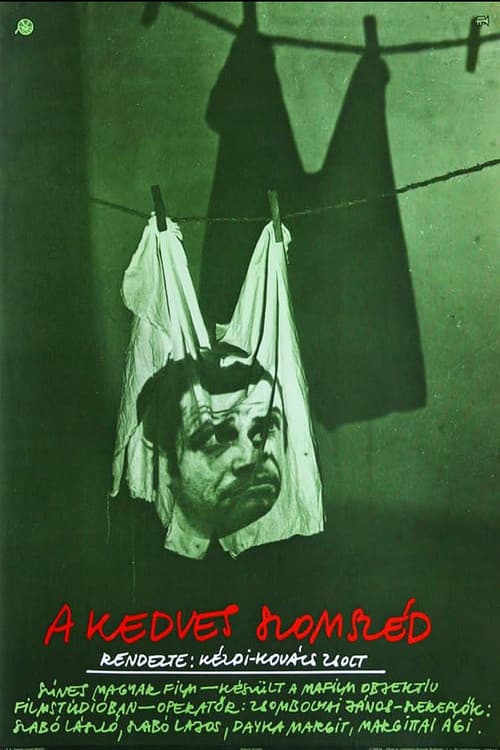 Poster for A Nice Neighbor