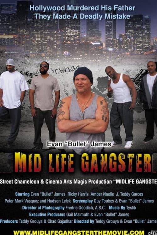 Poster for Mid Life Gangster