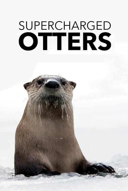 Poster for Supercharged Otters