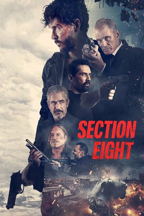 Poster for Section 8