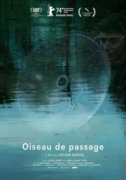 Poster for Wandering Bird