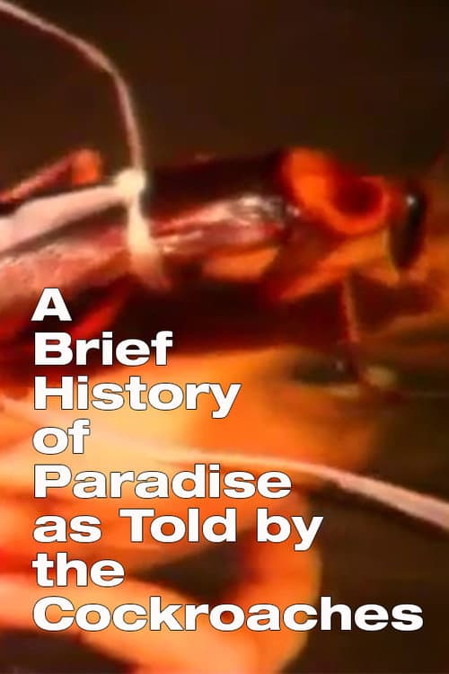 Постер до фільму «A Brief History of Paradise as Told by the Cockroaches»