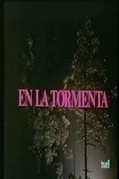 Poster for In the Storm