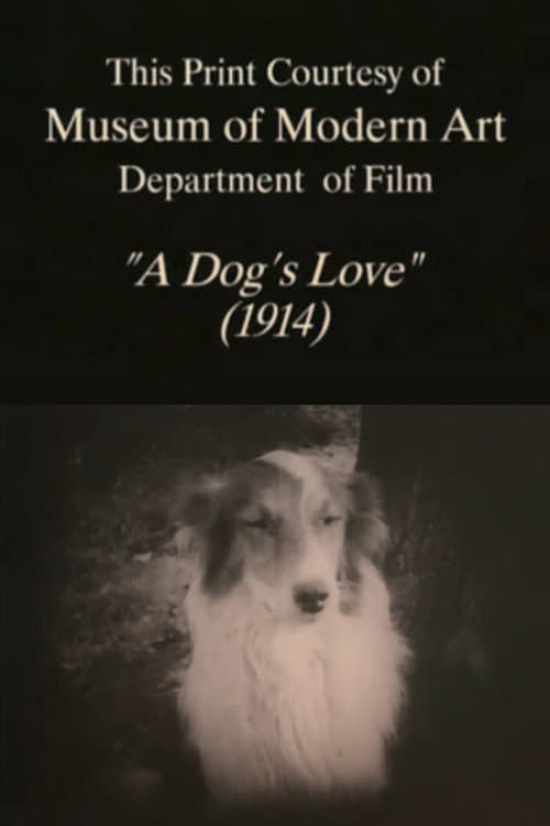 Poster for A Dog's Love