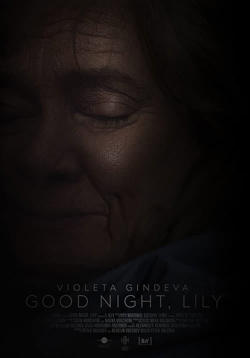 Poster for Good Night, Lily